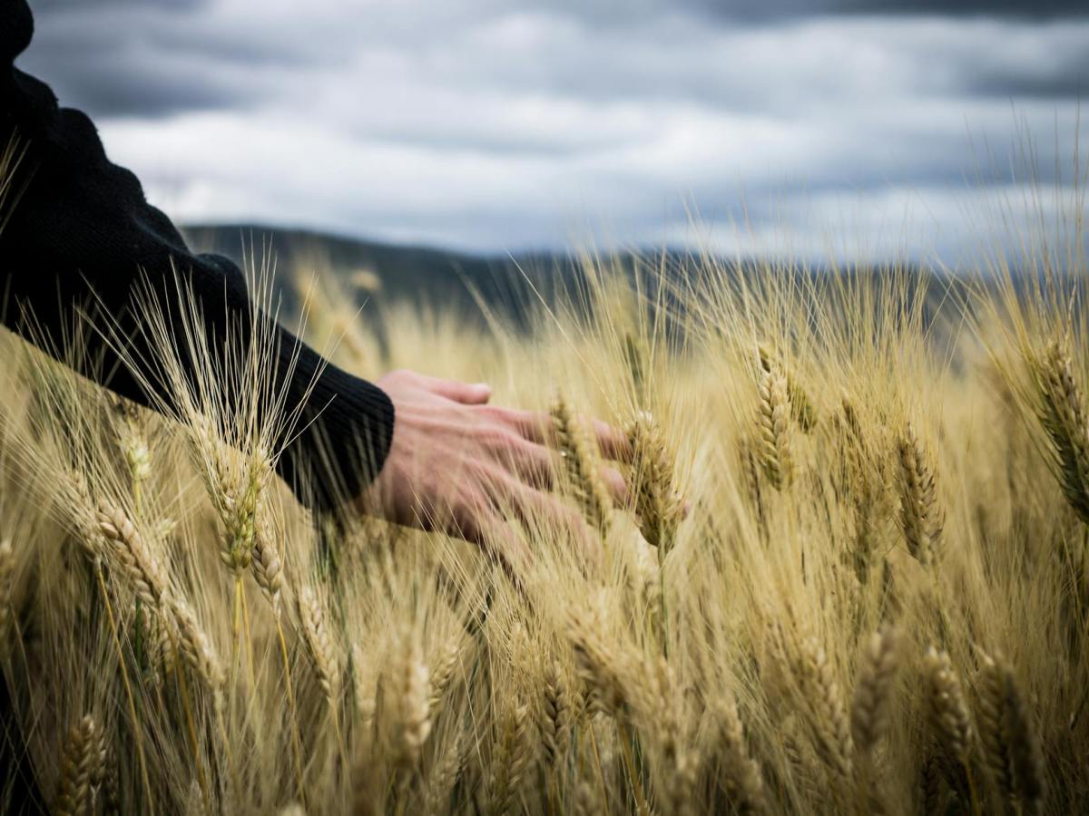 Ruth 3: A redeemer ready to&nbsp;help